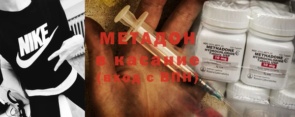 трава Белокуриха