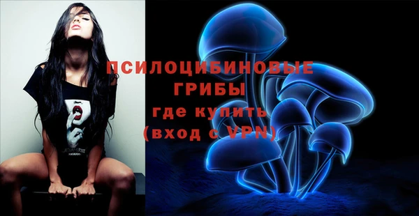 гидропоника Белоозёрский