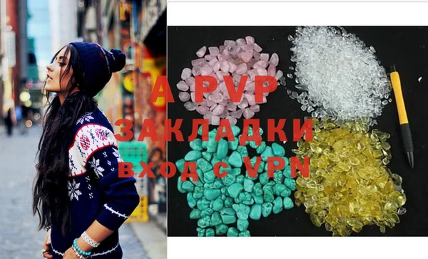 трава Белокуриха