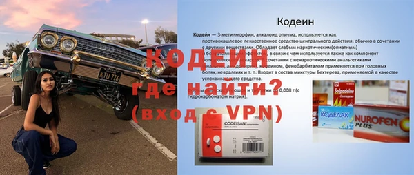 трава Белокуриха