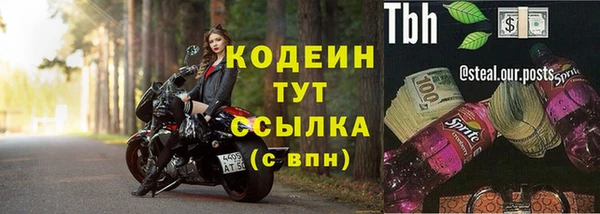 трава Белокуриха