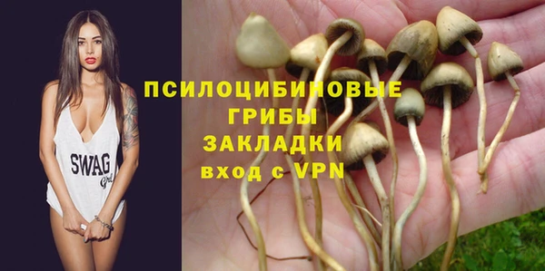 гидропоника Белоозёрский