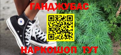 гидра Кингисепп