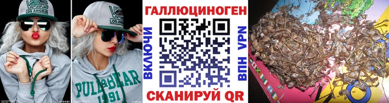 купить наркотики сайты  Кушва  Псилоцибиновые грибы Psilocybine cubensis 