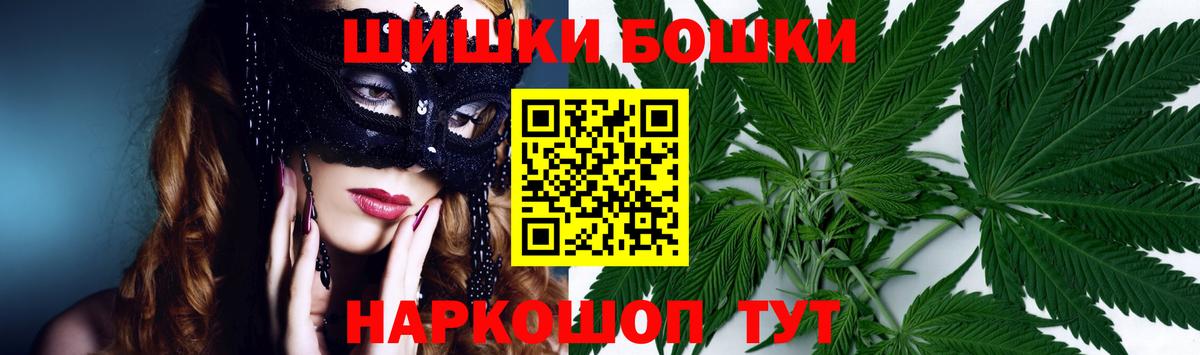 Марихуана сатива Кушва